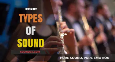 Exploring the Diverse World of Sound Types and Categories