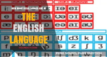 Exploring the Vast Range of Vocal Sounds in English Language Phonetics