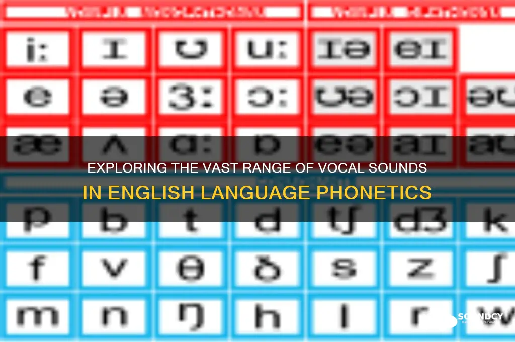 how many vocal sounds are in the english language
