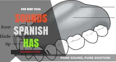 Exploring the Rich Phonetic Range of Spanish Vocal Sounds