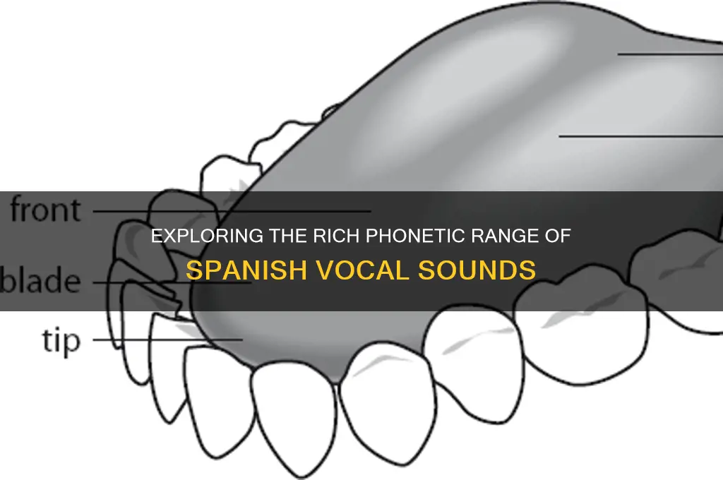 how many vocal sounds spanish has