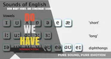 Exploring the English Language: Vowel and Consonant Sounds Counted