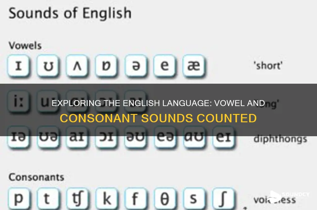 how many vowel and consonant sound do we have