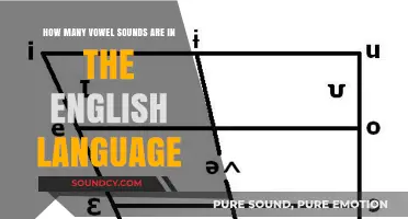 Exploring the Count of Vowel Sounds in English Phonetics