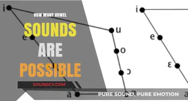 Exploring the Range: How Many Vowel Sounds Are Linguistically Possible?
