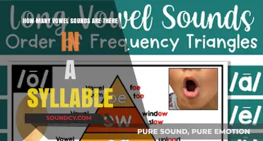 Exploring the Vowel Sounds in a Single Syllable: A Comprehensive Guide