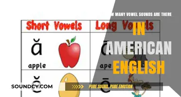 Exploring the Vowel Sounds of American English: A Comprehensive Count