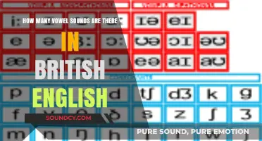 Exploring the Rich Variety of Vowel Sounds in British English