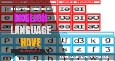 Exploring the Surprising Number of Vowel Sounds in English Language