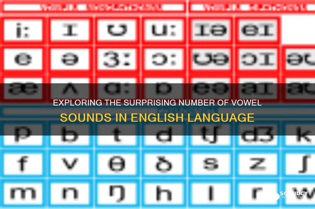 how many vowel sounds does the english language have