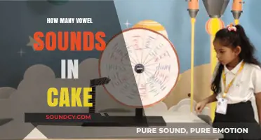 Exploring the Vowel Sounds in 'Cake': A Phonetic Breakdown