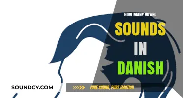 Exploring the Unique Vowel Sounds in Danish: A Comprehensive Guide