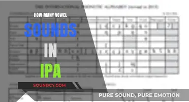 Exploring the Vowel Sounds in IPA: A Comprehensive Phonetic Guide