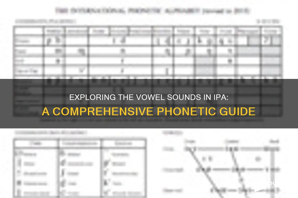 how many vowel sounds in ipa
