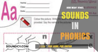 Exploring the Number of Vowel Sounds in Phonics: A Comprehensive Guide