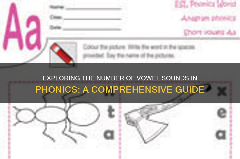 how many vowel sounds in phonics