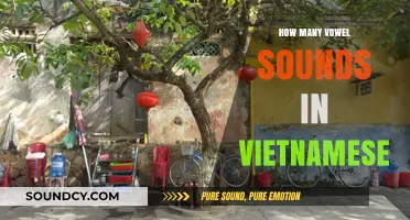 Exploring the Rich Phonetics: How Many Vowel Sounds in Vietnamese?