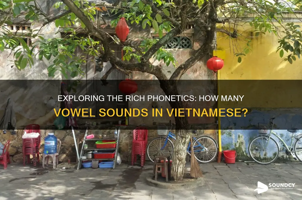how many vowel sounds in vietnamese