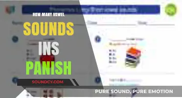 Exploring the Rich Phonetics: How Many Vowel Sounds Are in Spanish?