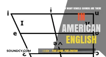 Exploring the Total Number of Vowel Sounds in American English