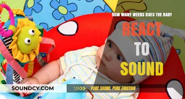 When Does Your Baby Start Reacting to Sounds in the Womb?