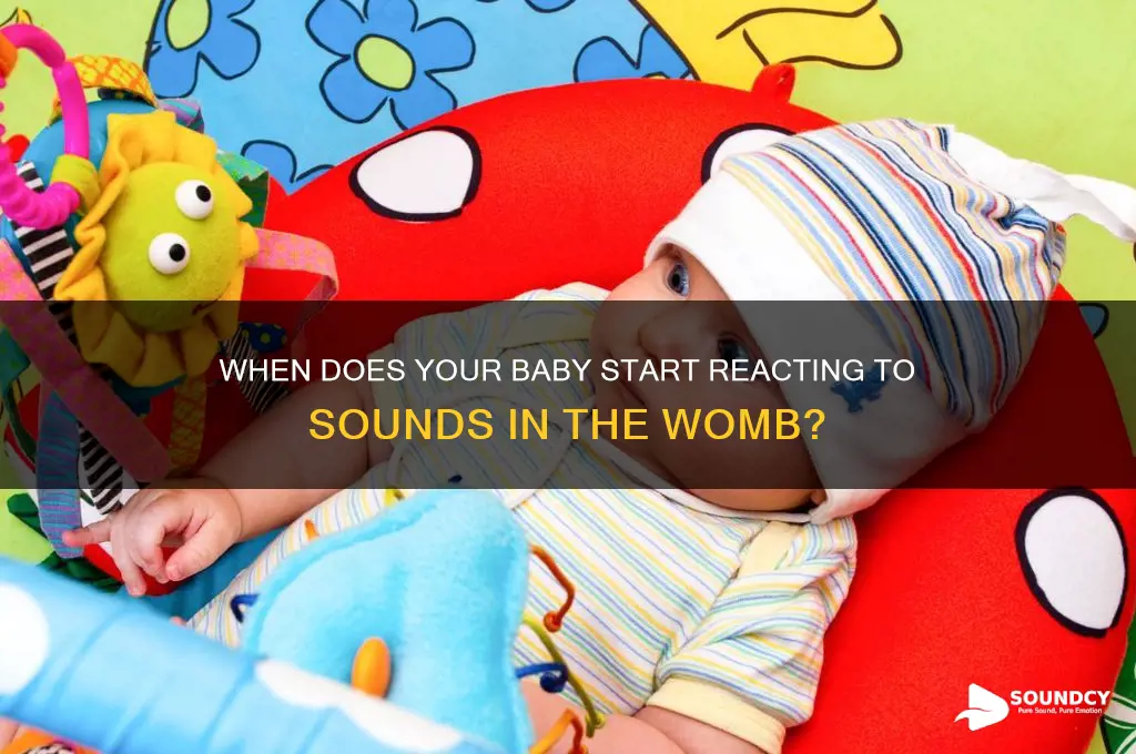 how many weeks does the baby react to sound