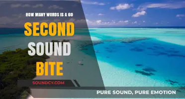 Crafting the Perfect 60-Second Sound Bite: Word Count Secrets