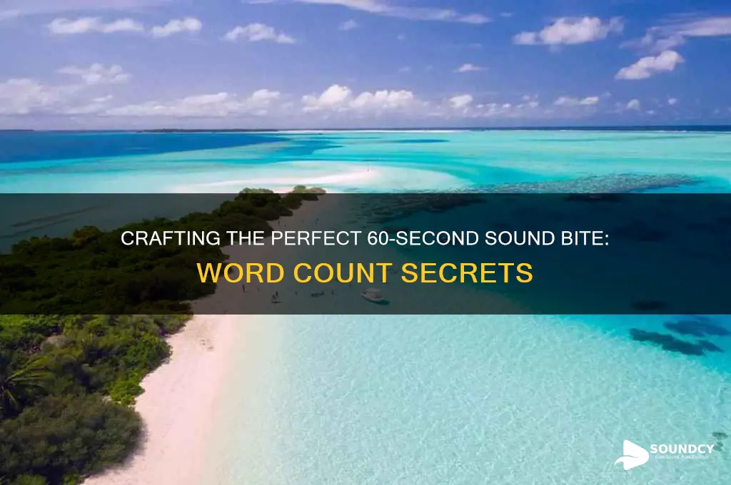 how many words is a 60 second sound bite