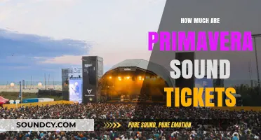 Primavera Sound Ticket Prices: Cost Breakdown and Budget Tips