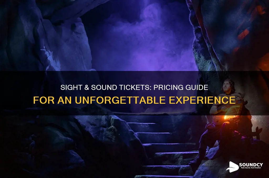 how much are sight & sound tickets