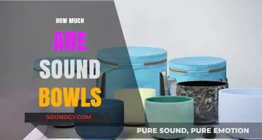 Exploring the Cost of Sound Bowls: A Comprehensive Price Guide