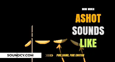 Exploring the Unique Sonic Qualities of Ashot's Distinctive Sound