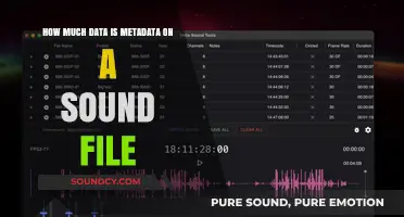 Understanding Metadata: Unveiling Hidden Data in Your Sound Files