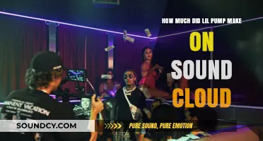 Lil Pump's SoundCloud Earnings: Unveiling His Streaming Revenue Success