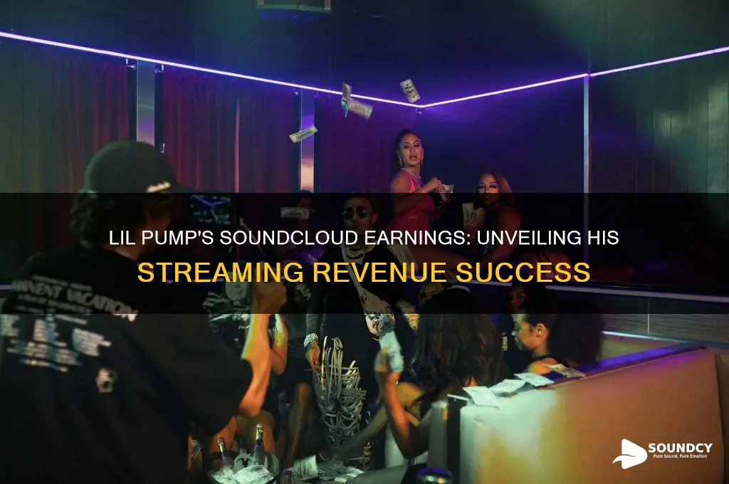 how much did lil pump make on sound cloud