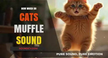 Do Cats Muffle Sound? Exploring Feline Hearing and Noise Reduction