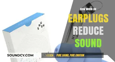 Earplugs: Effective Sound Reduction Levels and Noise Protection Explained