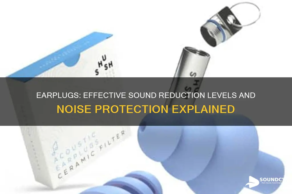 how much do earplugs reduce sound
