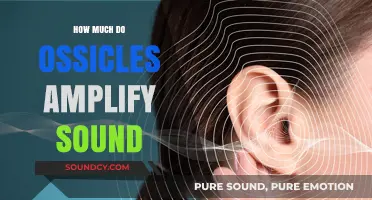 How Ossicles Amplify Sound: Unveiling the Tiny Bones' Impact