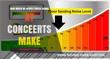 How Loud Are Concerts? Decibel Levels and Hearing Safety Explained