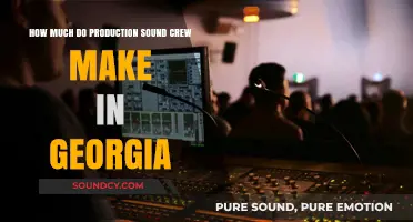 Georgia Production Sound Crew Salaries: Earnings and Industry Insights
