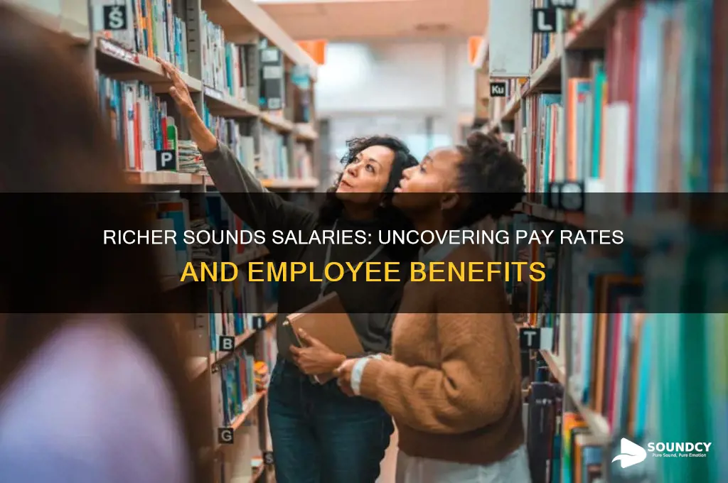 how much do richer sounds pay