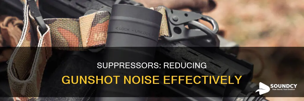 how much do silencers reduce sound