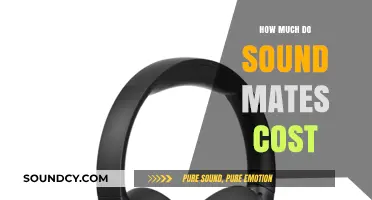 Sound Mates Price Guide: How Much Do They Cost?