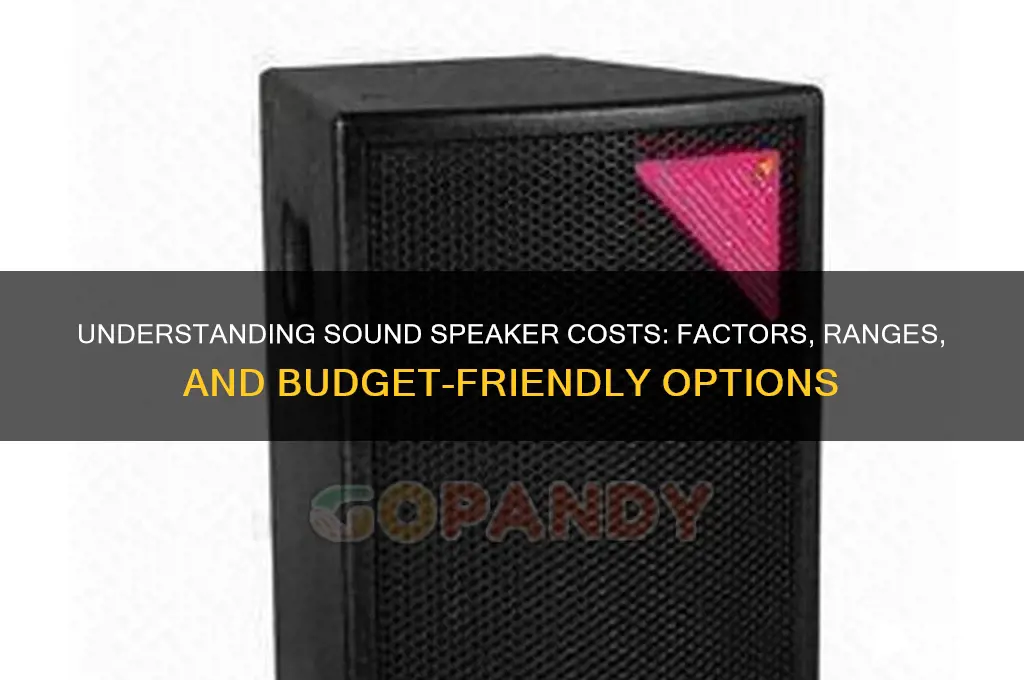 how much do sound speakers cost