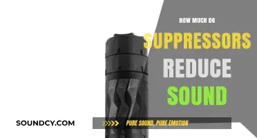 Suppressors: Reducing Sound for a Quieter Shot