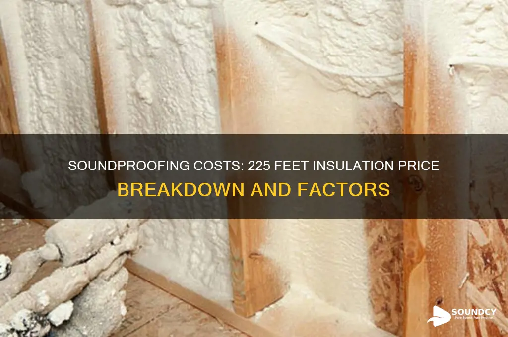 how much does 225 feet sound proof insulation cost