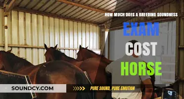 Breeding Soundness Exam Costs for Horses: What to Expect