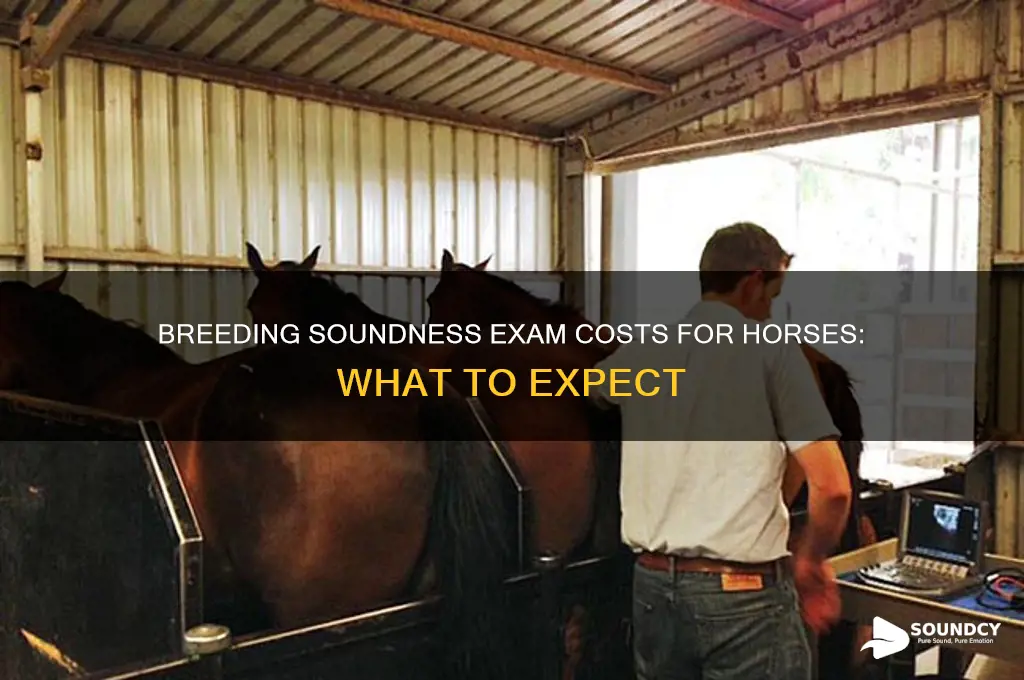 how much does a breeding soundness exam cost horse