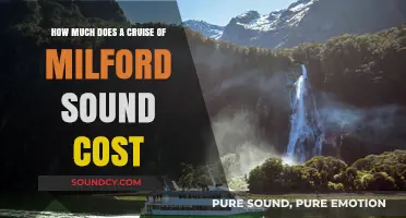 Milford Sound Cruise Costs: Budgeting for Your Scenic Adventure
